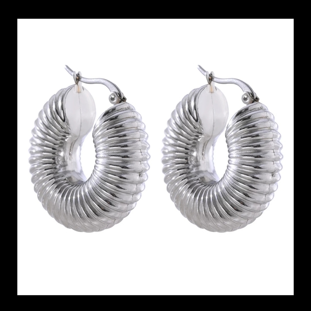 New Chunky Hoop Earrings